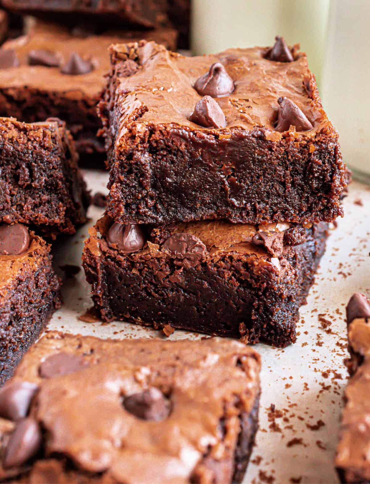 Chocolate Chip Brownie